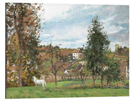 Aluminium print Landscape with a White Horse in a Meadow