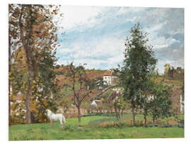 Foam board print Landscape with a White Horse in a Meadow