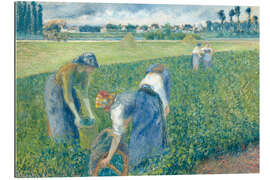 Gallery print farmers