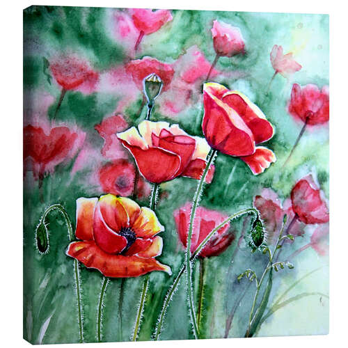 Canvas print Mohn im Gegenlicht