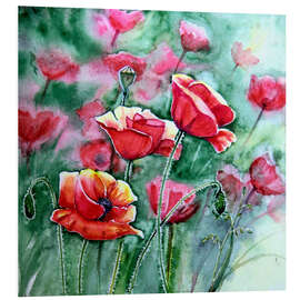 Tableau en PVC Mohn im Gegenlicht