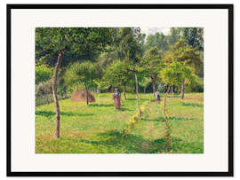 Ingelijste kunstdruk Orchard in Éragny