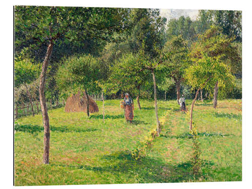 Quadro em plexi-alumínio Orchard in Éragny