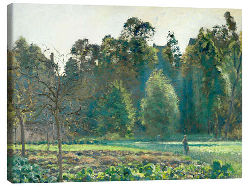 Canvas print The cabbage field, Pontoise