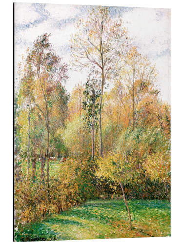 Aluminium print Autumn poplars, Eragny