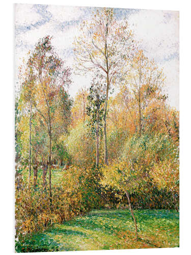 Foam board print Autumn poplars, Eragny