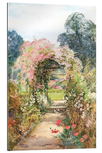 Gallery print The pergola walk