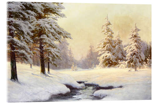 Akrylbilde Winter landscape