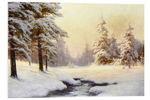 Tableau en PVC Paysage d'hiver