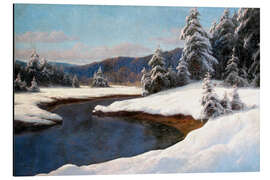 Aluminium print Winter landscape at the lake