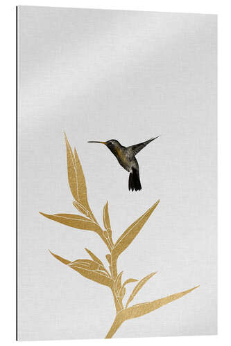 Gallery print Hummingbird & flower II