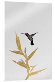 Gallery print Hummingbird &amp; flower II