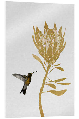 Acrylic print Hummingbird & flower I