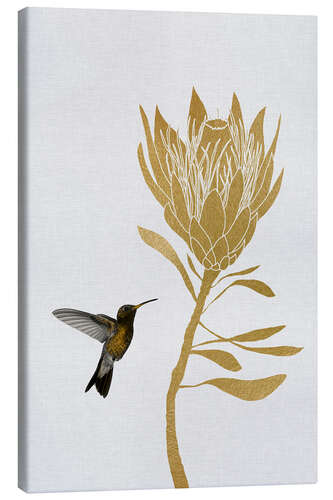 Canvas print Hummingbird & flower I