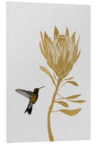 Foam board print Hummingbird & flower I