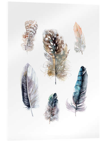 Akrylglastavla Feathers collection