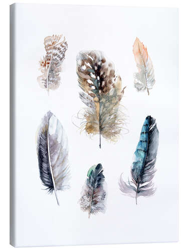 Canvas print Feathers collection