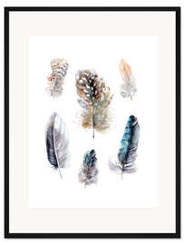 Gerahmter Kunstdruck Federn Sammlung