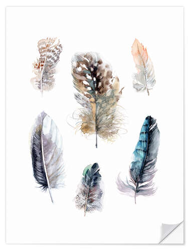 Naklejka na ścianę Feathers collection