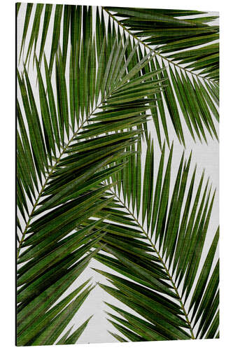 Aluminium print Palm leaf III