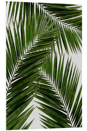 Foam board print Palm leaf III