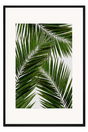 Gerahmter Kunstdruck Palmblatt III