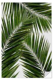 Selvklebende plakat Palm leaf III