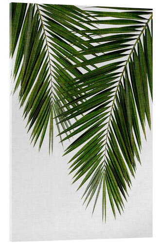 Quadro em acrílico Palm Leaf II