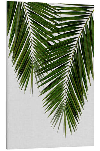 Aluminium print Palm Leaf II