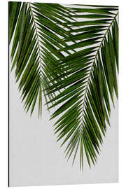 Quadro em alumínio Palm Leaf II