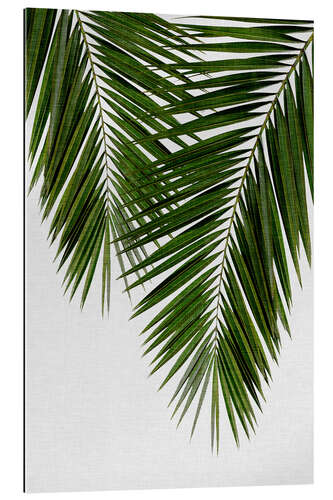 Gallery print Palm Leaf II