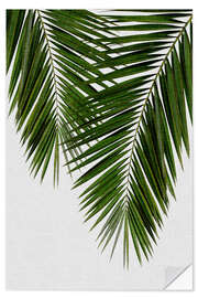 Selvklebende plakat Palm Leaf II