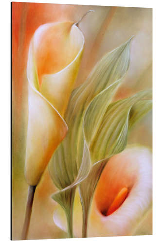 Aluminium print calla