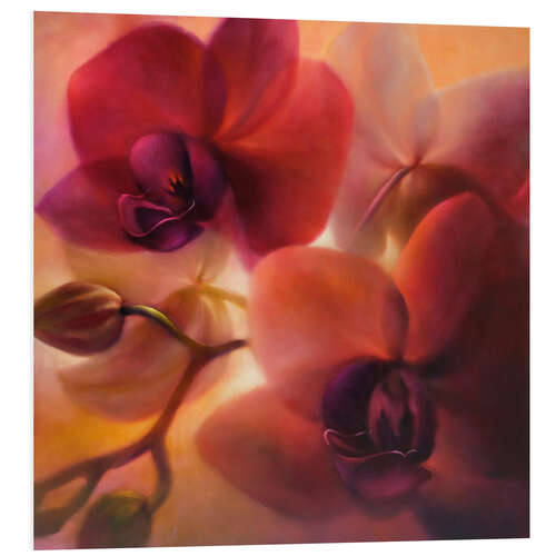 Foam board print Orchids II