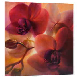 Cuadro de PVC Orchids II