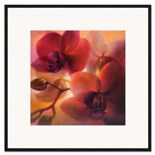Impresión de arte enmarcada Orchids II