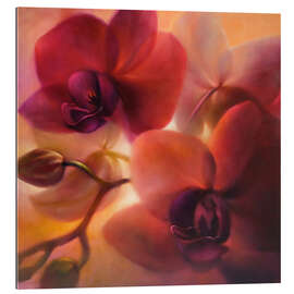 Gallery print Orchids II