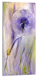 Aluminiumsbilde Purple dandelion