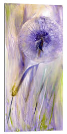 Stampa su plexi-alluminio Purple dandelion