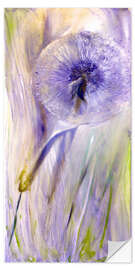 Selvklebende plakat Purple dandelion