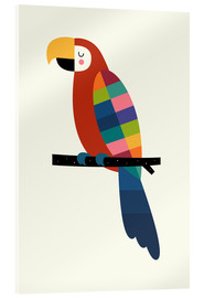 Akrylglastavla  Rainbow Parrot - Andy Westface