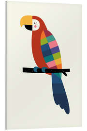 Magnettafel Regenbogen-Papagei