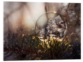 Acrylglas print When the winter is coming