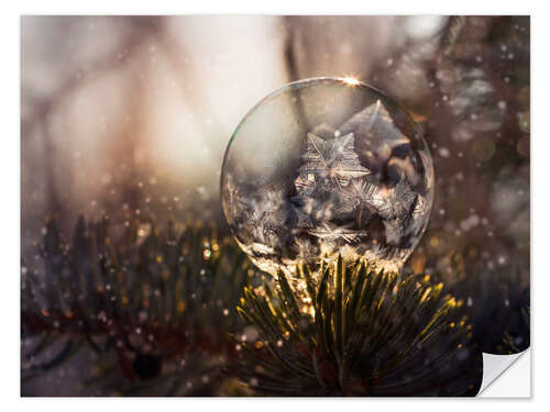 Muursticker When the winter is coming