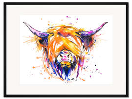 Gerahmter Kunstdruck Scottish Highland Cow