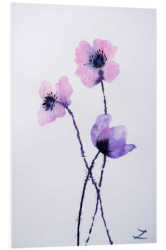 Foam board print Translucent Poppies