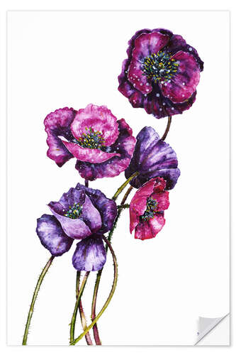 Sisustustarra Purple Poppies