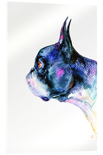 Acrylic print Boston Terrier