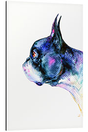 Quadro em alumínio Boston Terrier