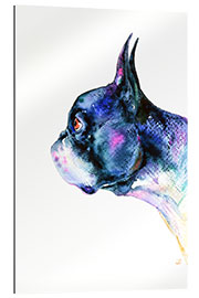 Gallery print Boston Terrier